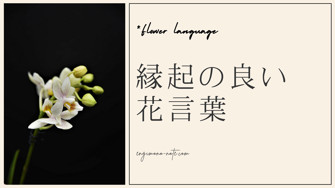 運気を上げる縁起の良い花言葉を持つ花（胡蝶蘭）の美しいアレンジメント