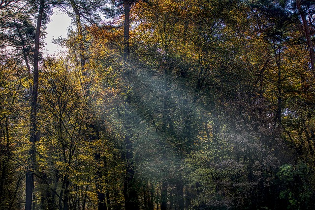 青空にキラキラと輝く光の粒子、守護霊のサインのイメージ