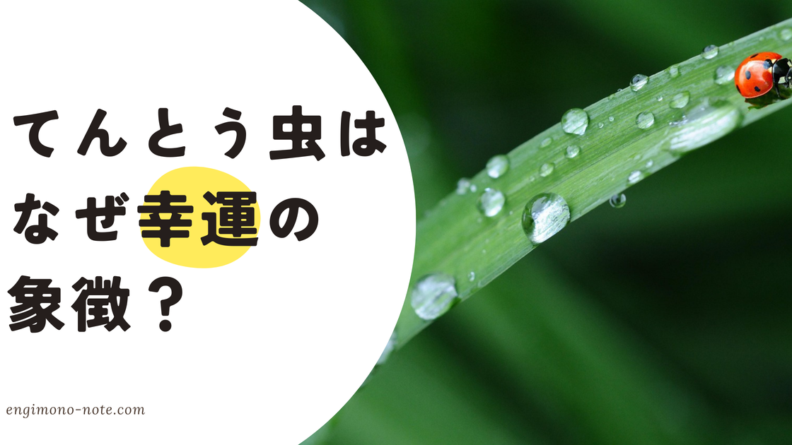葉の上に止まる、幸運の象徴であるナナホシテントウ